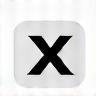 X (formerly Twitter) icon